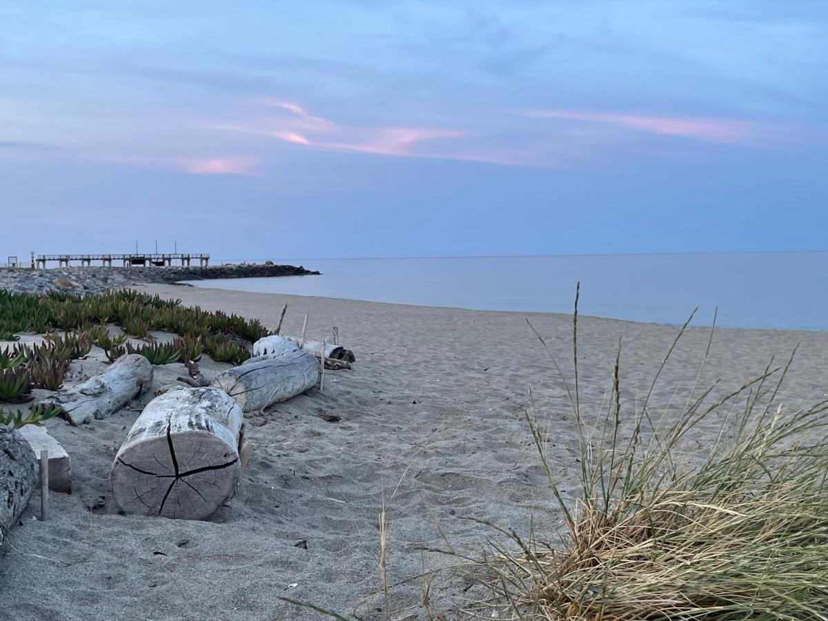 Ferienhaus In Residence Naturiste Direkt Am Strand Leucate Luaran gambar